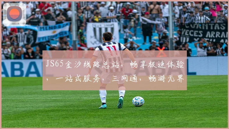 JS65金沙线路总站，畅享极速体验，一站式服务，三网通，畅游无界，轻松驾驭