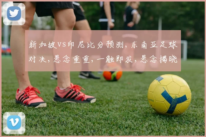 新加坡vs印尼比分预测,东南亚足球对决,悬念重重,一触即发,悬念揭晓