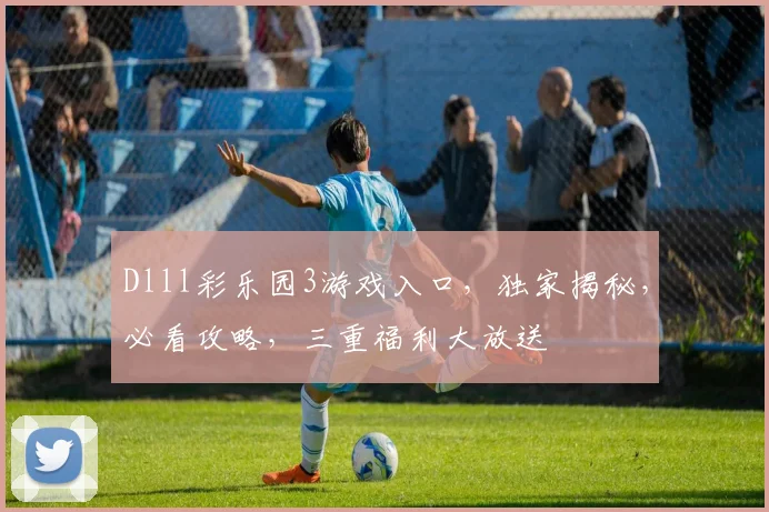 Dlll彩乐园3游戏入口，独家揭秘，必看攻略，三重福利大放送