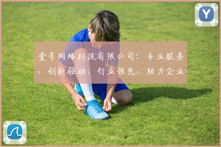 壹号网络科技有限公司：专业服务，创新驱动，行业领先，助力企业腾飞三步曲