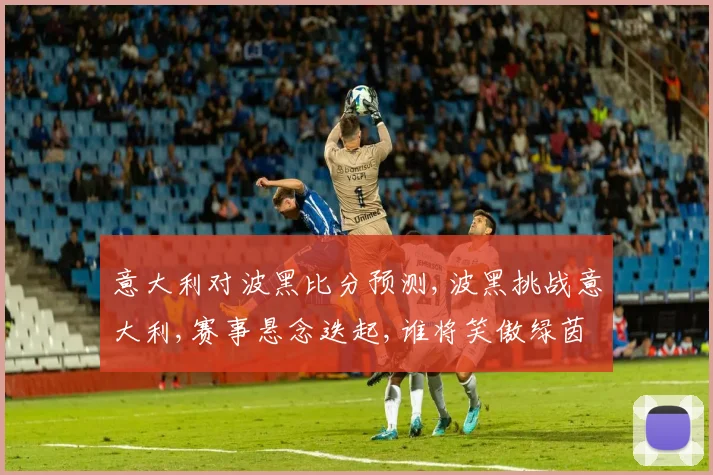 意大利对波黑比分预测,波黑挑战意大利,赛事悬念迭起,谁将笑傲绿茵场